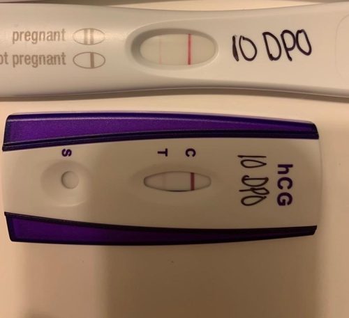 kFGYp peL