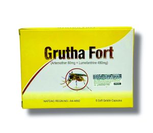Grutha Fort