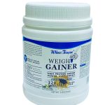 WinsTown Weight Gainer Powder x450g