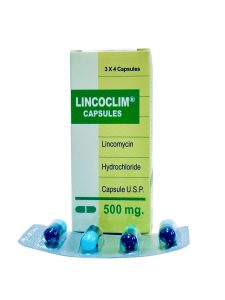 Lincoclim