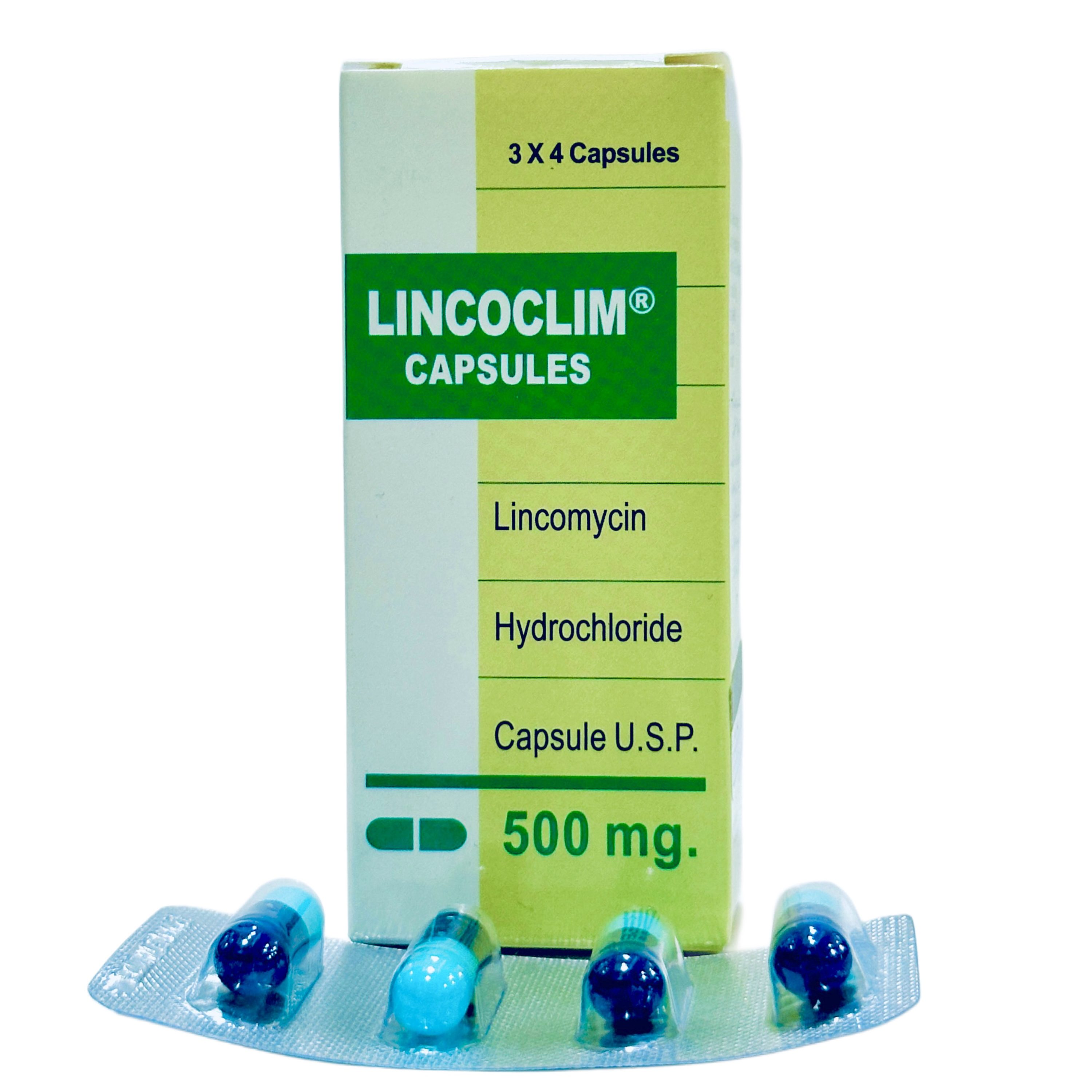 Lincoclim